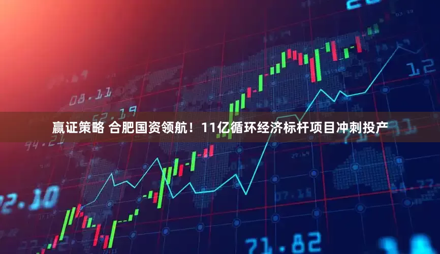 赢证策略 合肥国资领航！11亿循环经济标杆项目冲刺投产